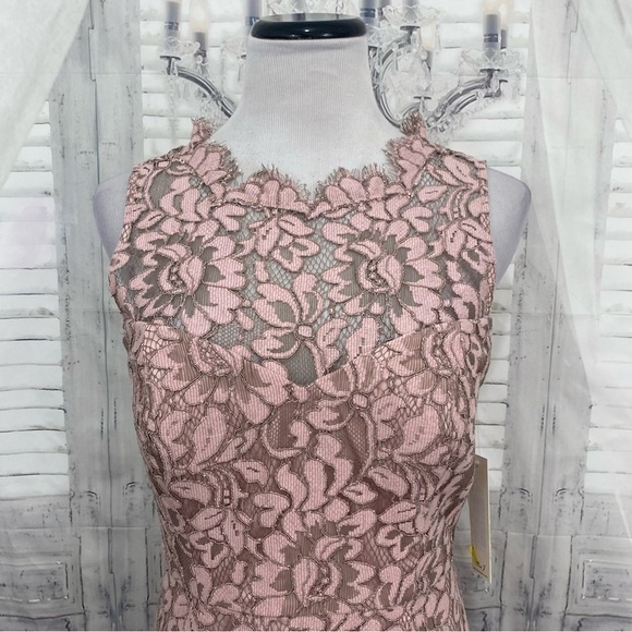 NEW Eliza J Siz 8 Blush Pink Sleeveless Lace Applique Illusion Sheath High Neck - Picture 3 of 9